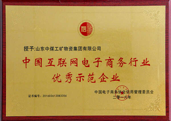热烈祝贺我集团入选中国互联网电子商务行业示范企业